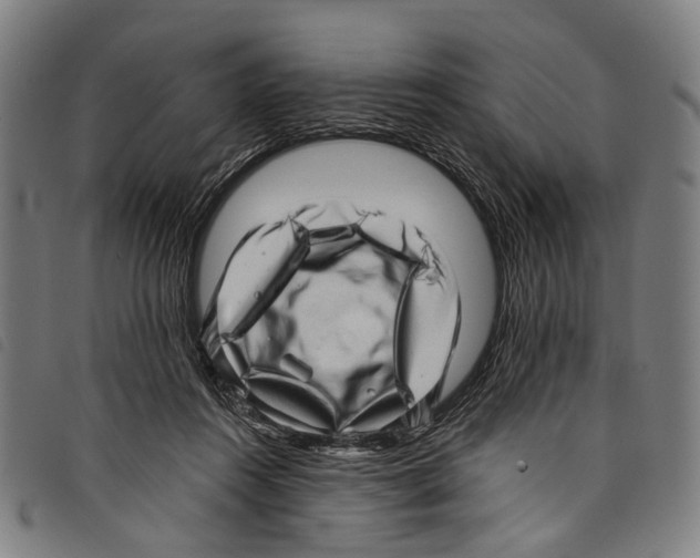 X0000097790360200804041241