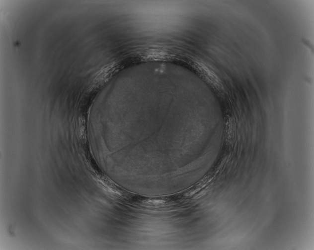 X0000097790361200804041241