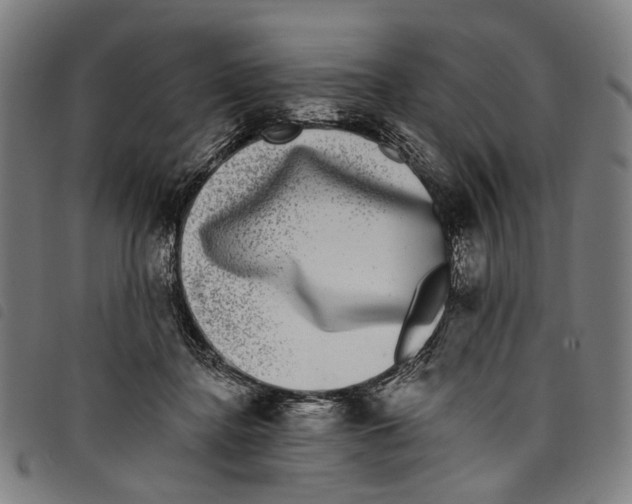 X0000097790364200804041241