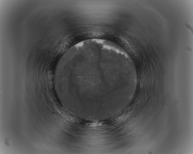 X0000097790366200804041241