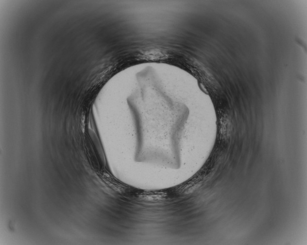 X0000097790368200804041241