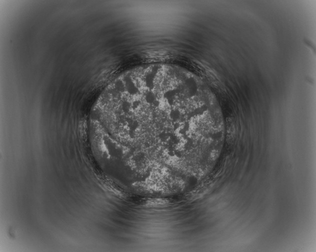 X0000097790369200804041241
