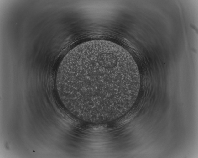 X0000097790370200804041241