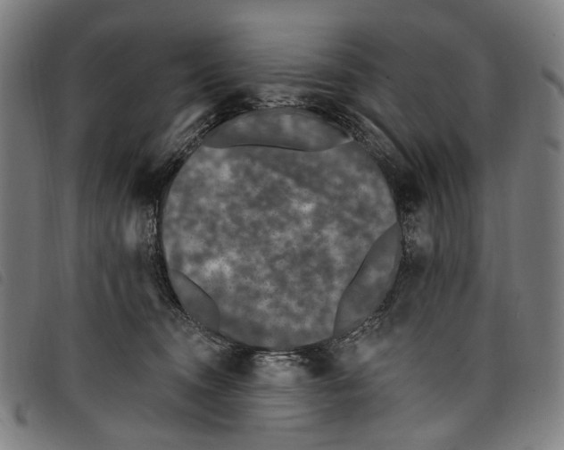 X0000097790372200804041241