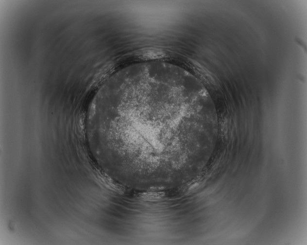 X0000097790373200804041241