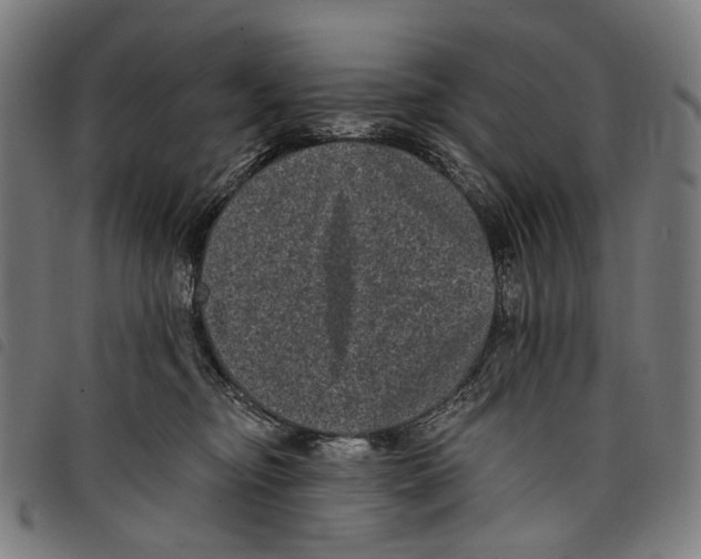 X0000097790374200804041241