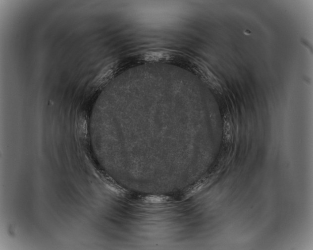 X0000097790375200804041241