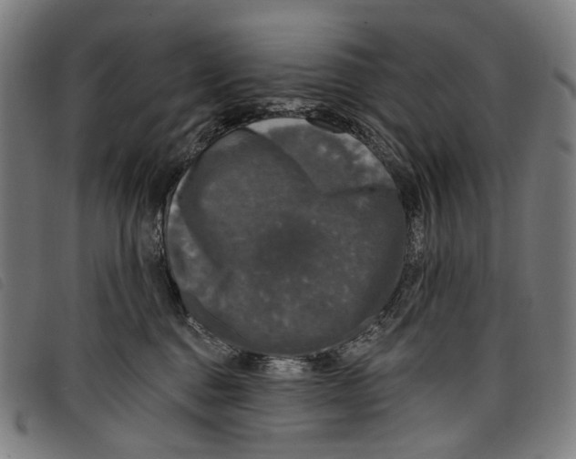 X0000097790376200804041241