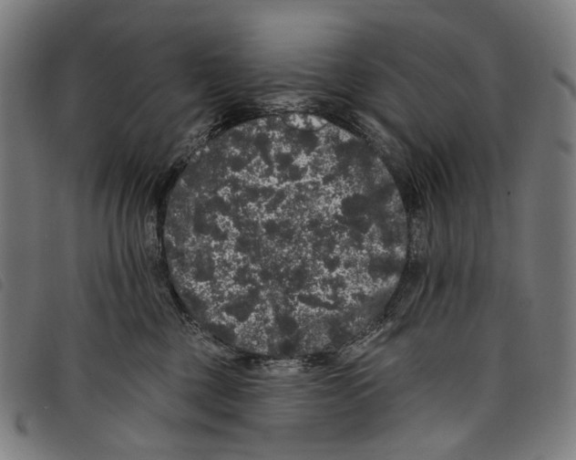 X0000097790377200804041241