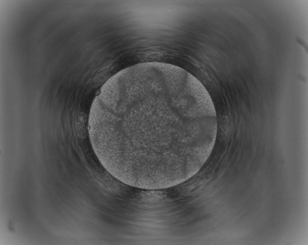 X0000097790378200804041241