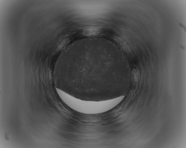 X0000097790380200804041241