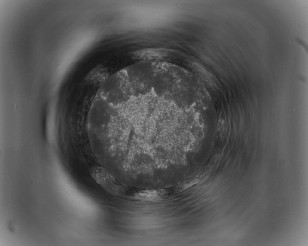 X0000097790381200804041241