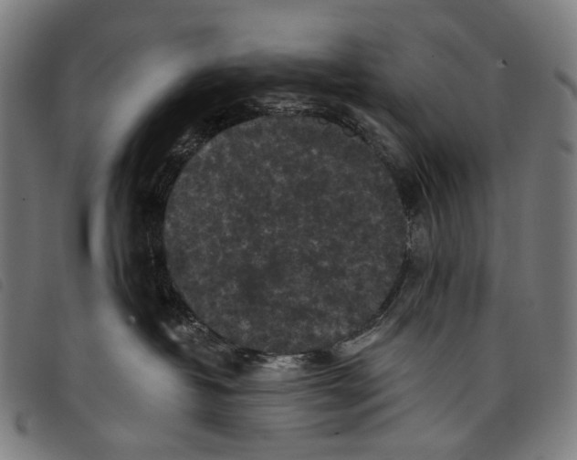 X0000097790382200804041241