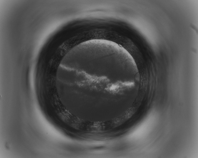 X0000097790383200804041241