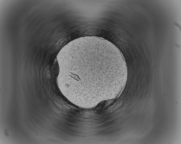 X0000097790384200804041241