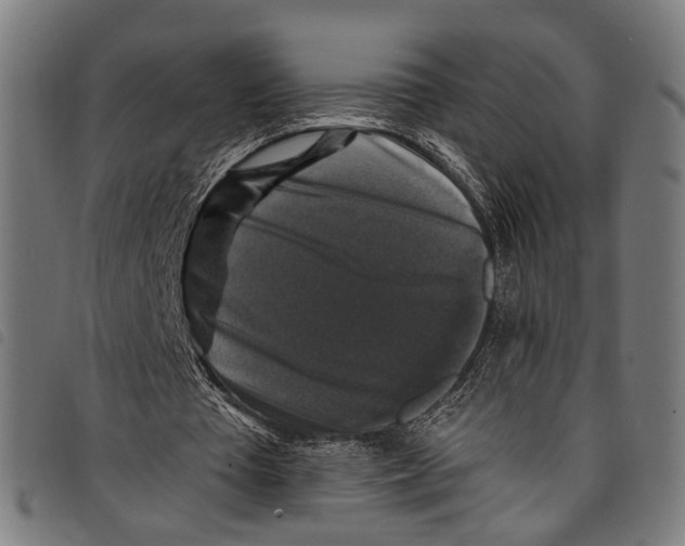 X0000097790385200804041241