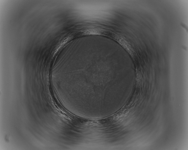 X0000097790386200804041241