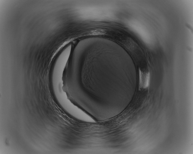 X0000097790387200804041241