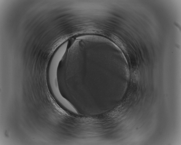X0000097790389200804041241