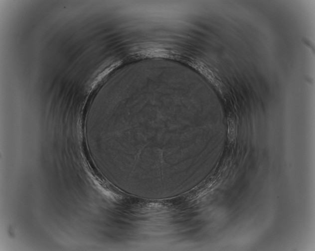 X0000097790390200804041241