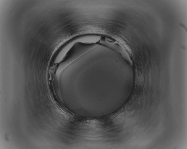 X0000097790391200804041241