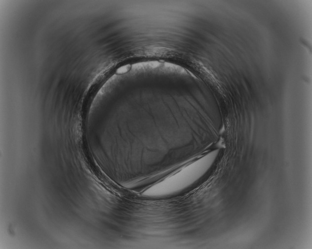 X0000097790392200804041241