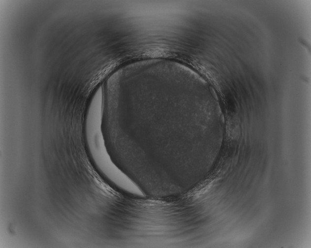 X0000097790393200804041241