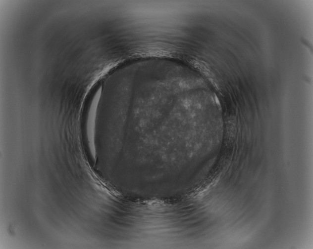 X0000097790395200804041241