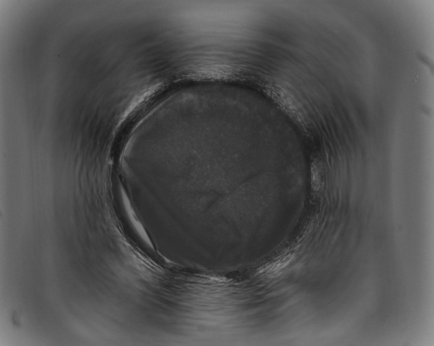 X0000097790396200804041241