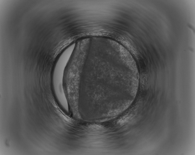 X0000097790397200804041241