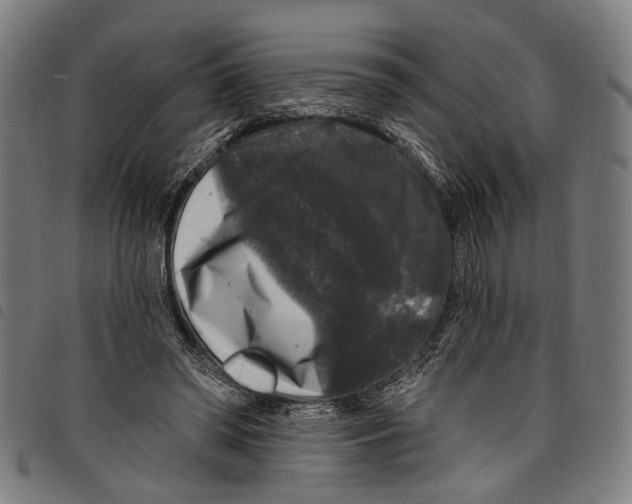 X0000097790398200804041241