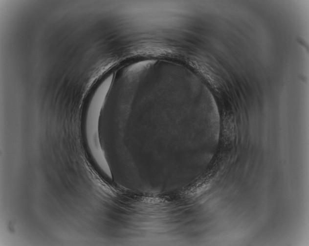 X0000097790399200804041241