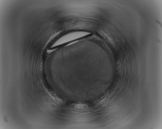 X0000097790400200804041241