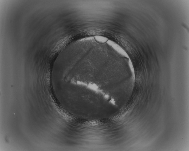 X0000097790402200804041241