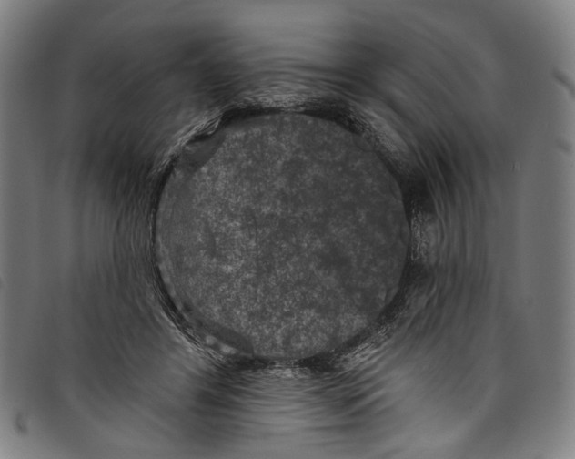 X0000097790404200804041241