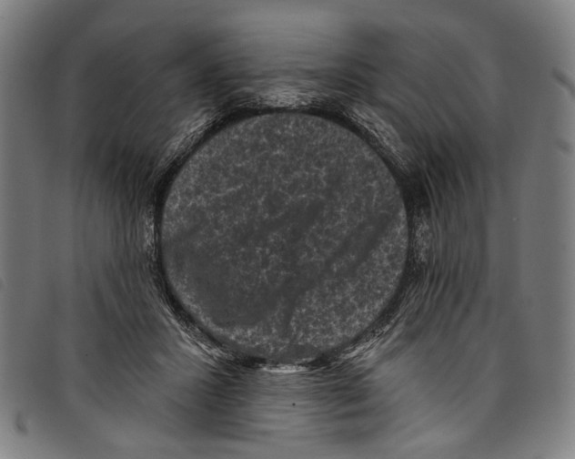X0000097790407200804041241