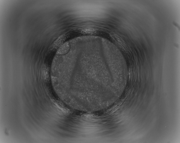 X0000097790408200804041240