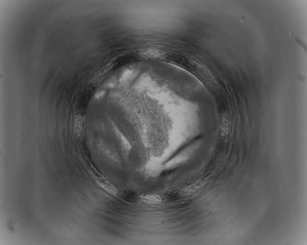 X0000097790409200804041240