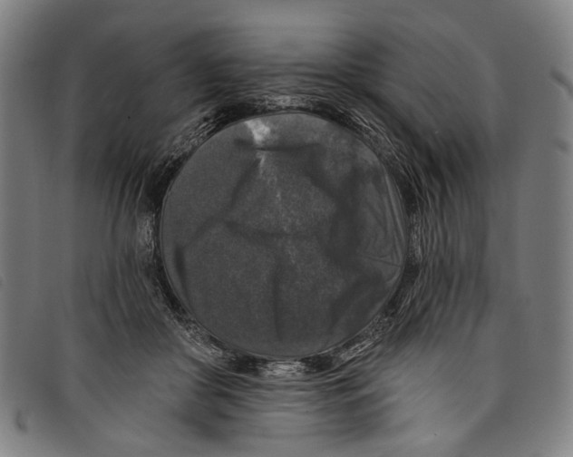X0000097790410200804041240