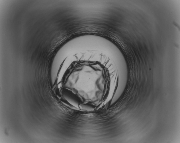 X0000097790411200804041240