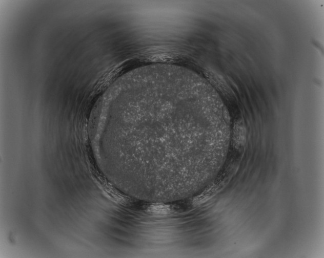 X0000097790413200804041240
