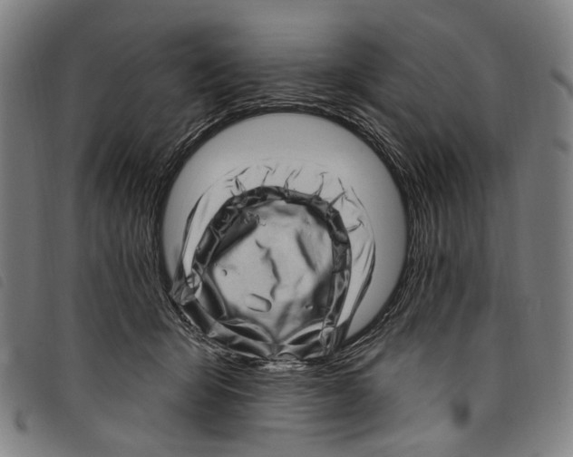 X0000097790415200804041240