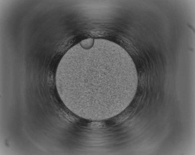 X0000097790418200804041240