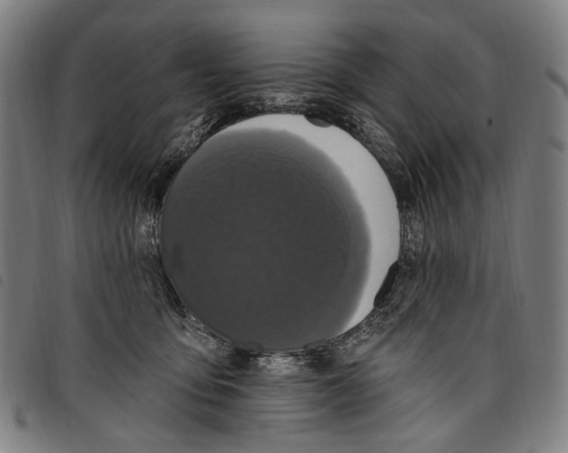 X0000097790419200804041240