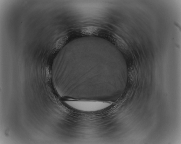 X0000097790420200804041240