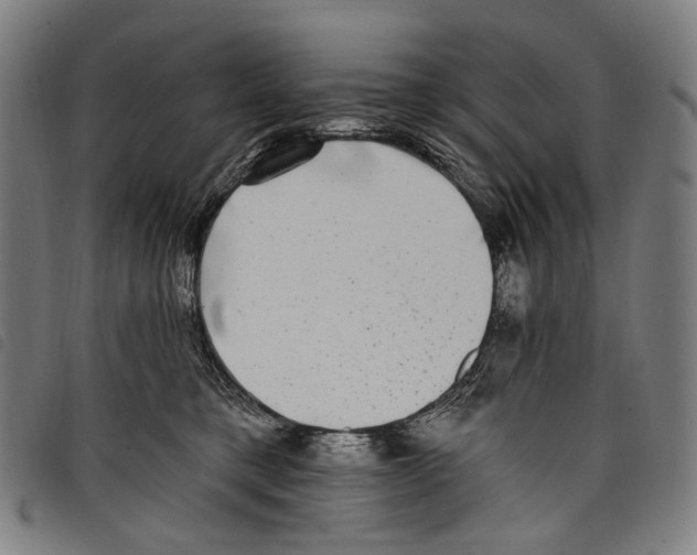 X0000097790421200804041240