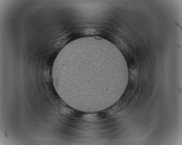 X0000097790422200804041240