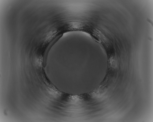 X0000097790423200804041240