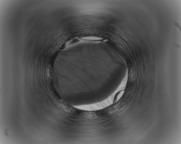 X0000097790424200804041240