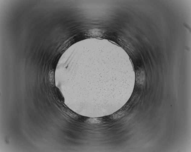 X0000097790425200804041240